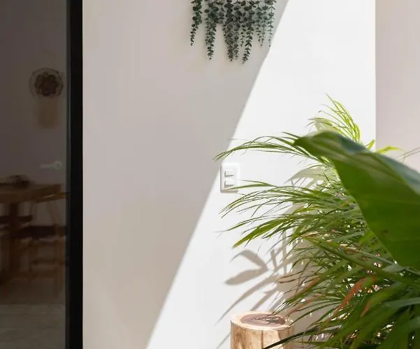 Cozy 3 Bedrooms Townhome-centrally Located-gated-wifi Tulum